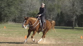 Christi Rains' Level 4 students prep for flying lead changes